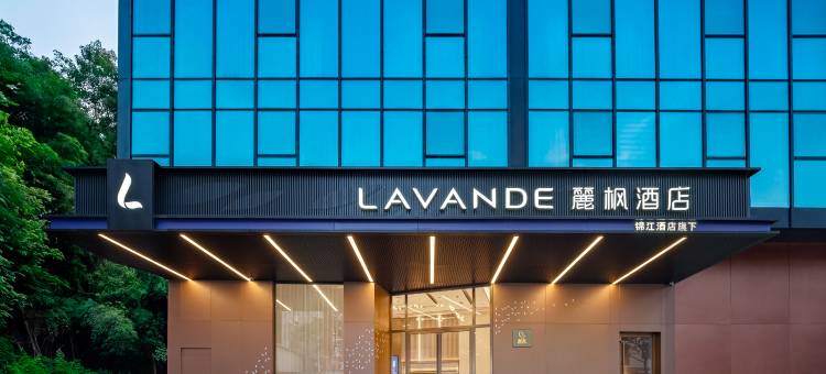 麗枫酒店(东莞松山湖大岭山地铁站店)图片