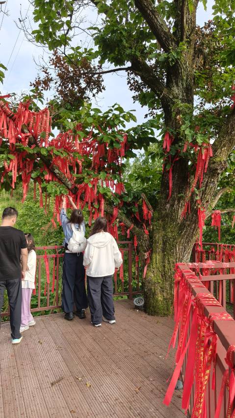 南溪·春风十里野奢度假庄园(神农架木鱼店)图片