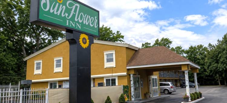 向日葵旅馆，大西洋城阿布西肯(Sunflower Inn Atlantic City Absecon)图片