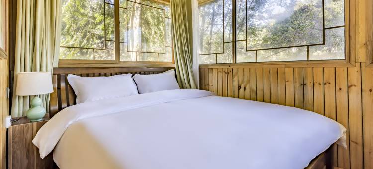 雨林民宿(西双版纳勐海店)图片