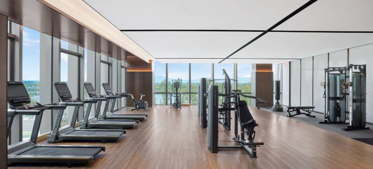 成都恒邦天府喜来登酒店图片