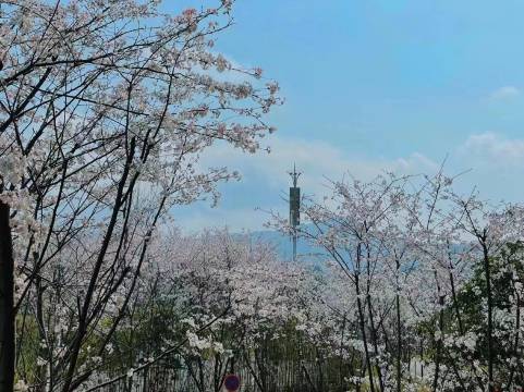 丹寨万达锦华温泉酒店图片