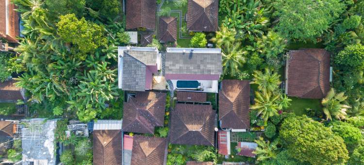 乌布派萨(Paisa Ubud)图片