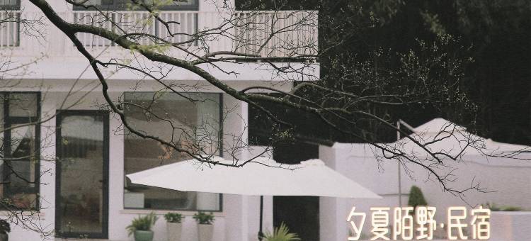 夕夏陌野民宿图片