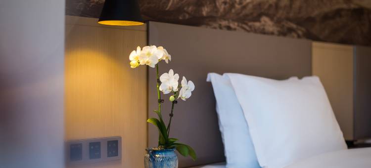 成都宽窄巷子美居酒店(宽窄巷子地铁站店)图片