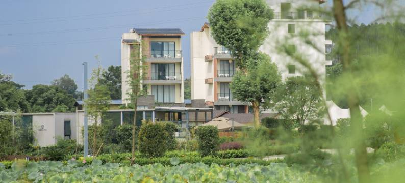 英德圣泉山谷金银温泉酒店图片