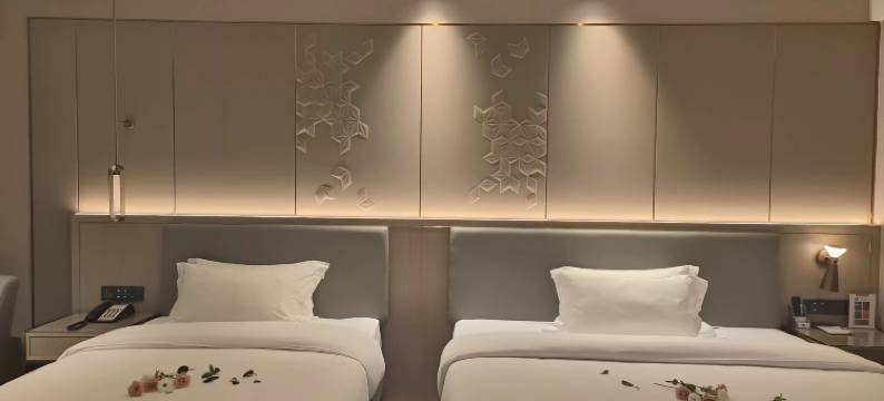 海纳国际酒店(东莞长安店)图片