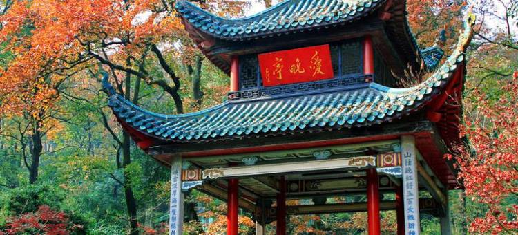 白玉兰酒店(长沙橘子洲景区五一广场地铁站店)图片