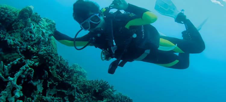 惠州惠东巽寮湾宝涞度假酒店(金融街海世界店)图片