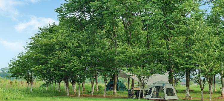 长沙世景广场智选假日酒店(星沙经济开发区店)图片