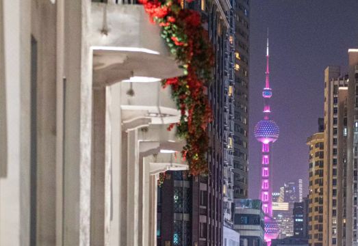 Shanghai Yangzi HotelHotel Overview