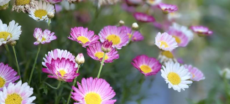 深圳空格森活客栈(西涌店)图片