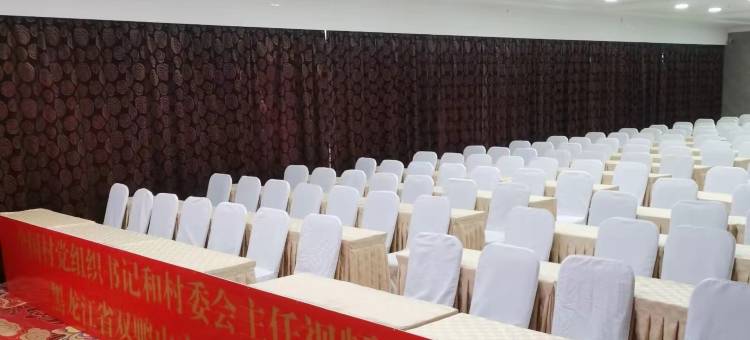 集贤阳霖大酒店图片