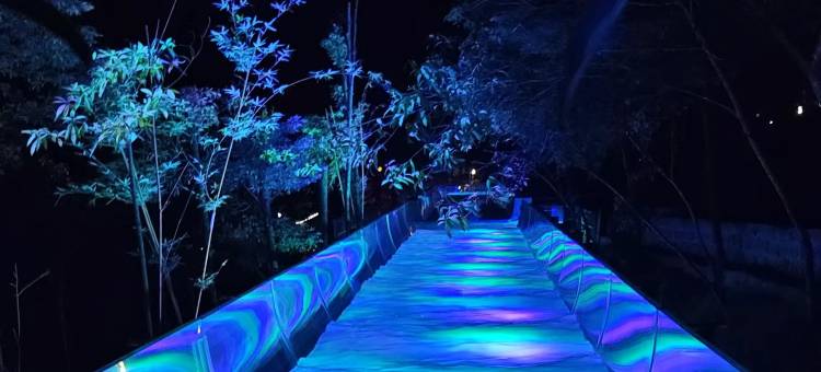 花水湾第一村森林温泉酒店图片