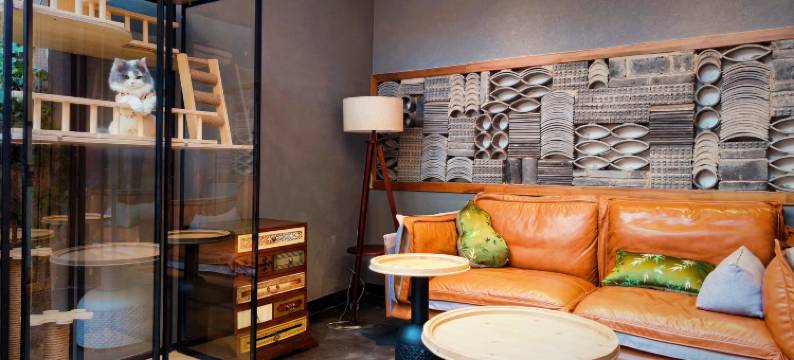 囍室(丽江古城大水车店)图片