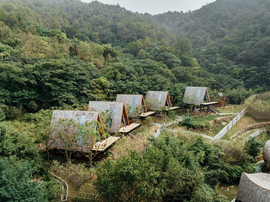 树蛙部落(安庆店)