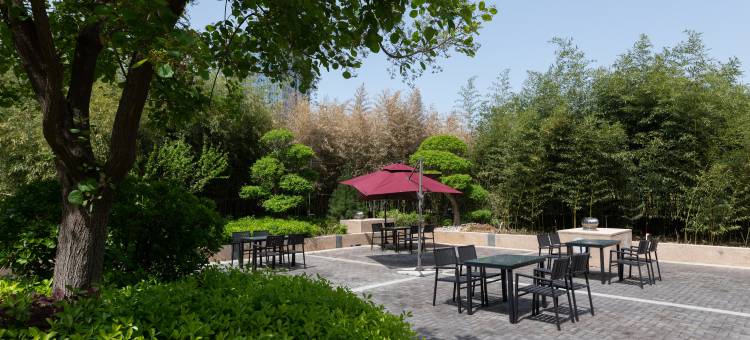 济南汉峪金谷奥体中心美仑国际酒店图片