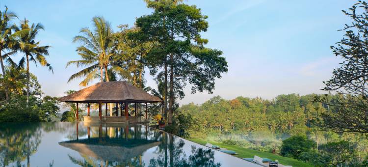 安缦黛宁(Amandari)图片