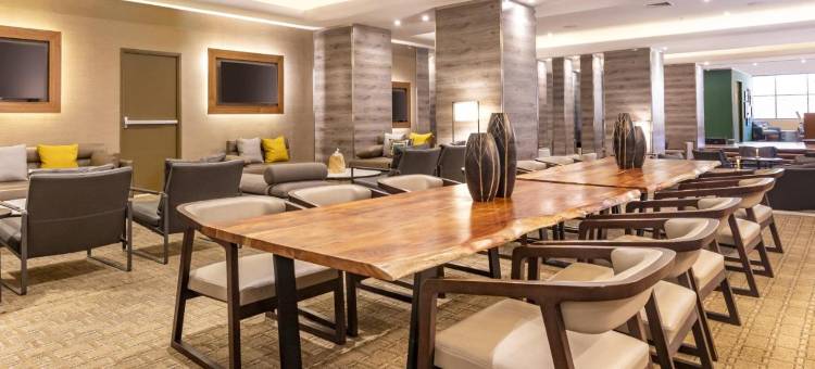 圣地亚哥艾美酒店(Le Méridien Santiago)图片