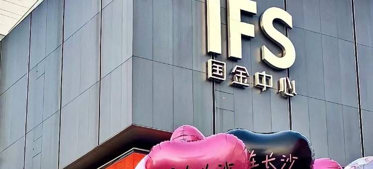 拓普轻奢酒店(湖南省儿童医院贺龙店)图片