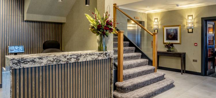 星级酒店(Star Hotel)图片