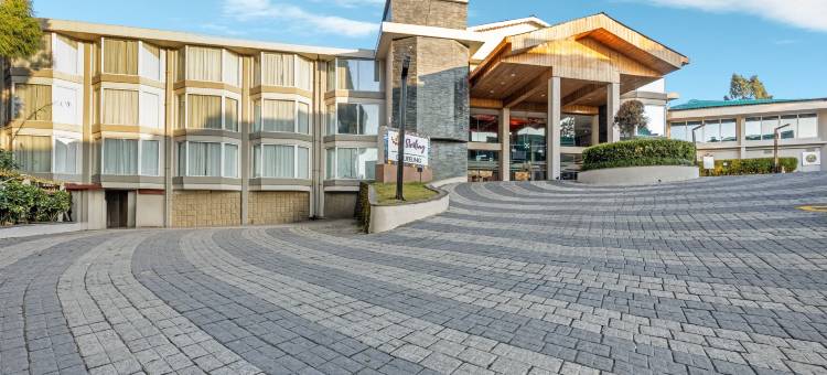 大吉岭斯特尔灵酒店(Sterling Darjeeling)图片