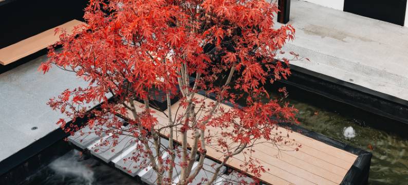 花筑·觀魚GUANYU民宿(扬州皮市街东关街店)图片