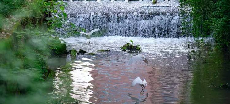 丽水学院学术交流中心酒店图片
