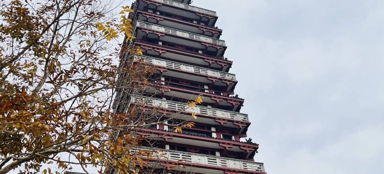 封开封州宾馆图片