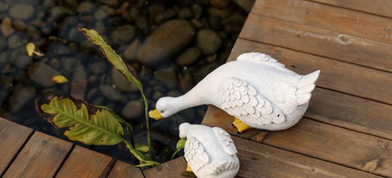 英德果然居民宿图片