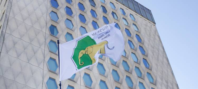 巴黎奥利朗吉斯机场美居酒店(Mercure Paris Orly Rungis Aéroport)图片