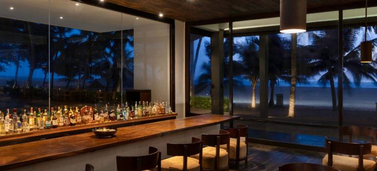 蓝色捷翼(Jetwing Blue)图片