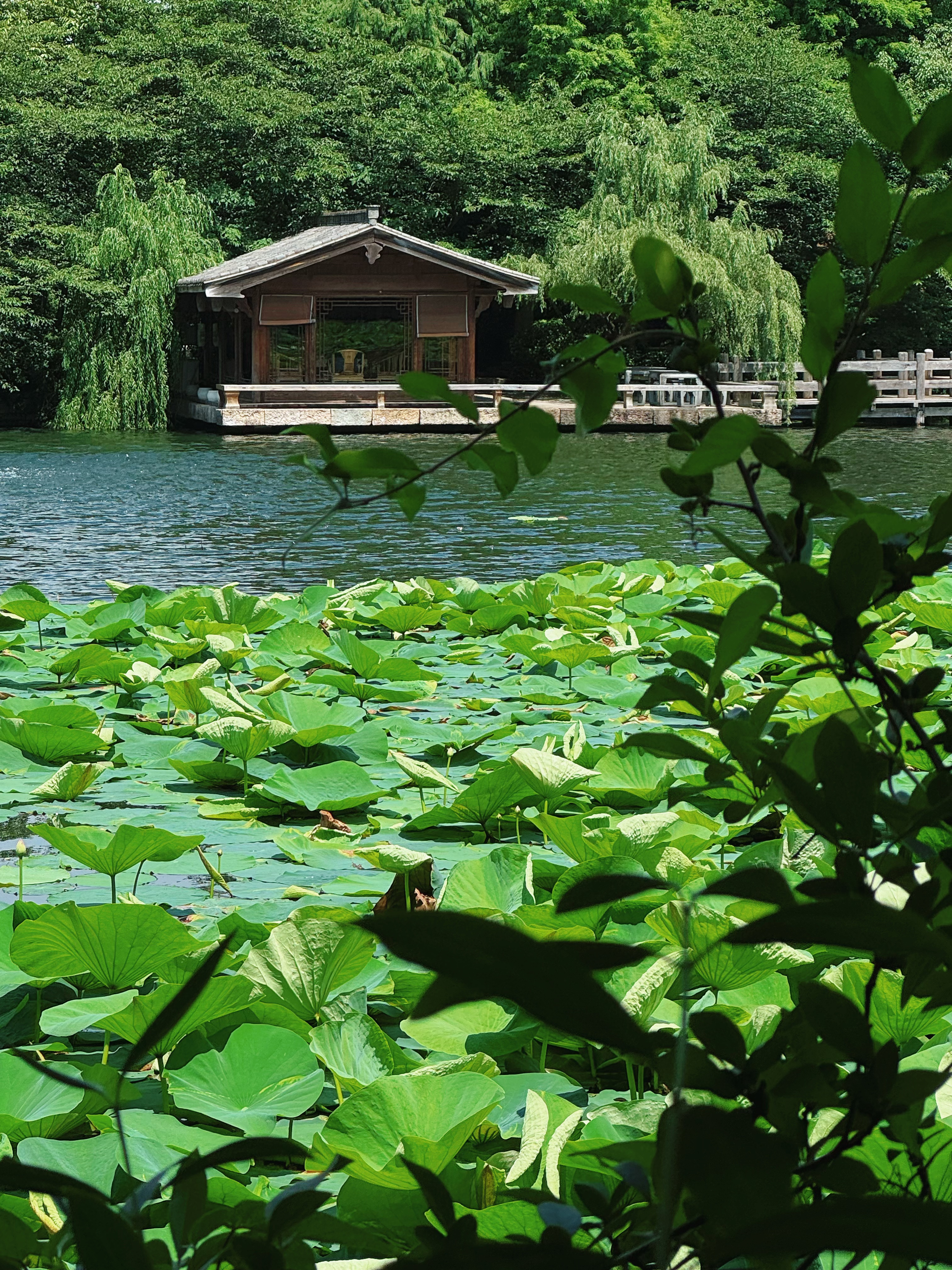 Seclusive Mengxi Garden Over view