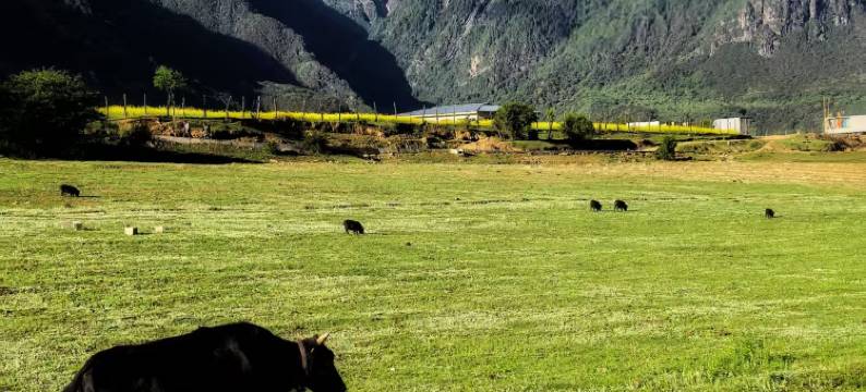 雅鲁仙居(雅鲁藏布大峡谷店)图片