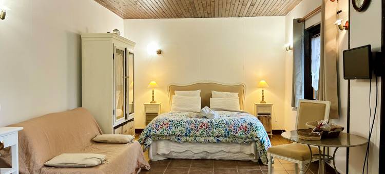 拉克劳艺术宫宾馆(La Closerie des Arts - Piscine et Spa)图片