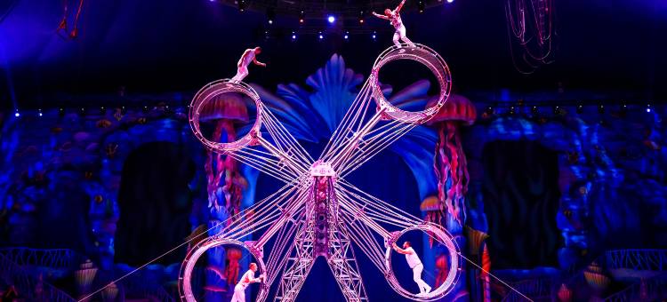 武汉极地海洋酒店图片