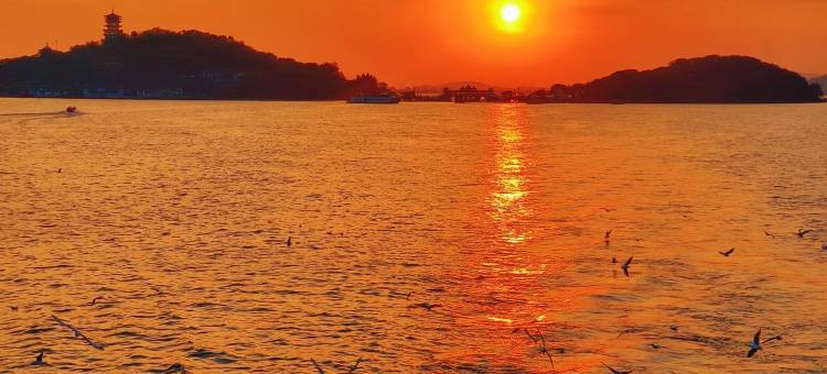 无锡华怡明都大酒店(滨湖万象汇店)图片