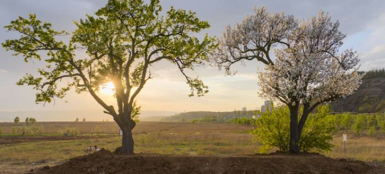 威宁蓝湾酒店(草海北坡生态公园会展中心店)图片