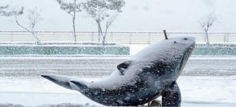 烟台金沙滩英迪格酒店图片