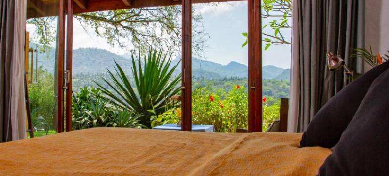 宝巾花隐世酒店(Bougainvillea Retreat)图片