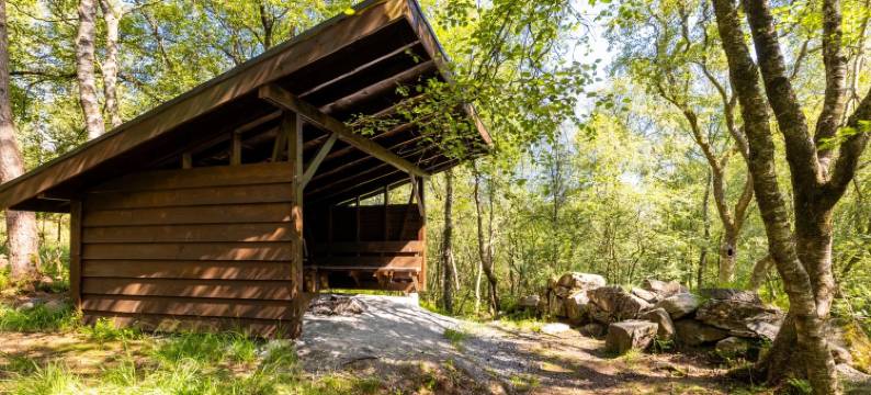 Large luxurious apartment with private terrace and parking图片