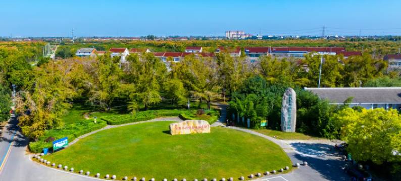 泰兴豪庭国际大酒店图片