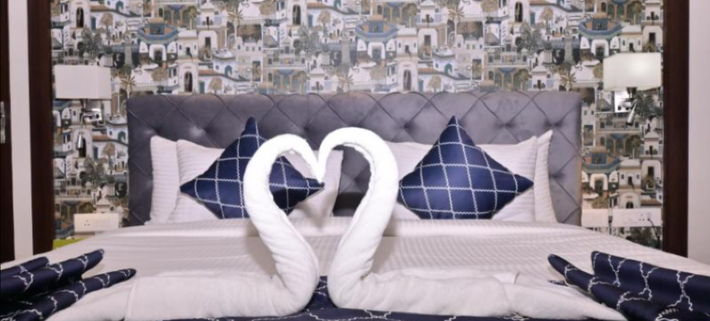 舒布拉加济普尔舒适酒店(Comfort Inn Shubhra Ghazipur)图片