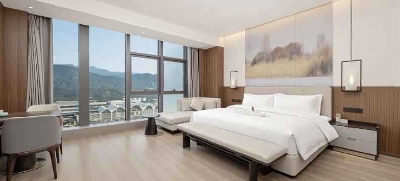 丽水文旅雷迪森广场酒店图片