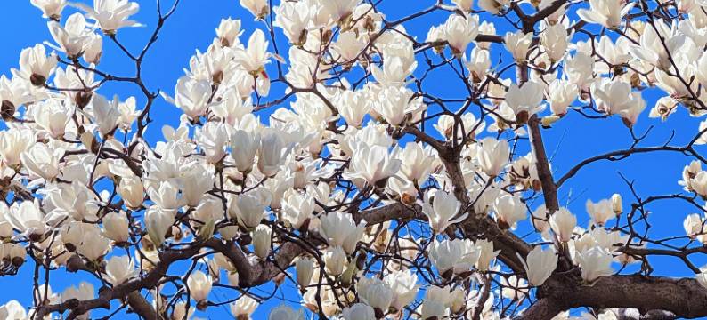 雅戈尔富宫大酒店(观前街平江路店)图片