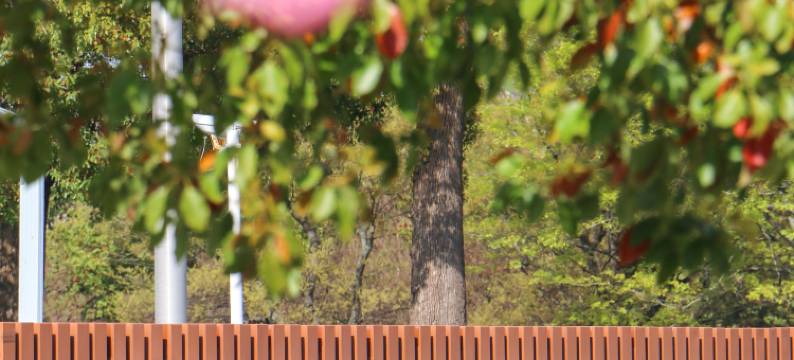 嘉兴希尔顿逸林酒店图片