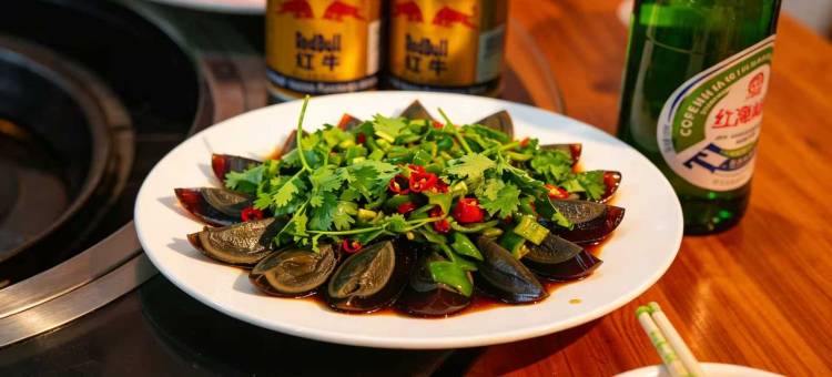 极之光假日酒店图片