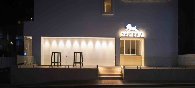 帆布旅舍(Canvas Hostel)图片