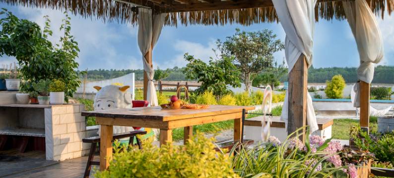 崇明岛·岁月慢行family亲子度假美宿图片