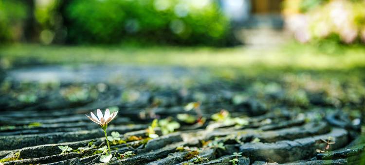 十堰心湖民宿图片